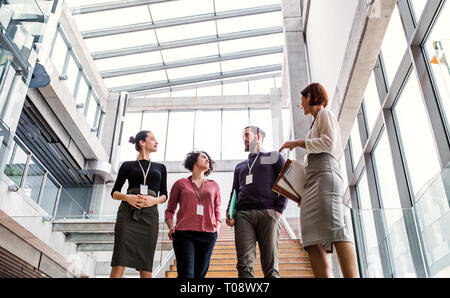 Gruppe junger Geschäftsleute zu Fuß die Treppen hinunter, zu sprechen. Stockfoto