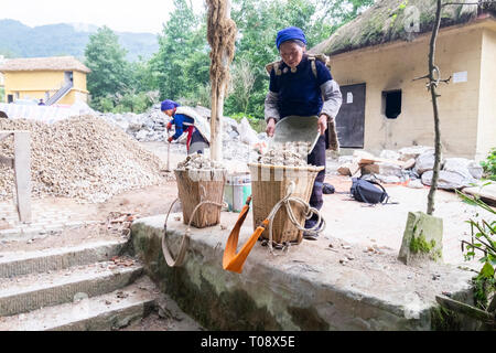 Die manuelle Arbeit Straßenbau in der Nähe von Duoyishu Dorf, Yuanyang Grafschaft, in der Präfektur Honghe in der südöstlichen Provinz Yunnan, China, Stockfoto