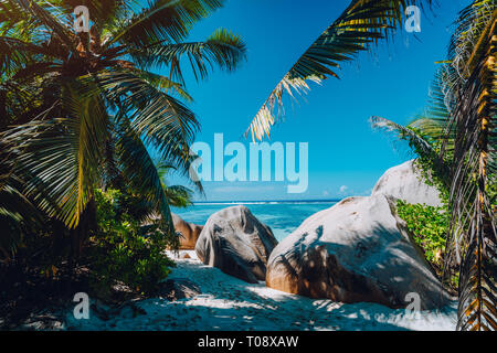 Berühmten tropischen Strand Anse Source D'Argent natürliche palm Schatten, Granitfelsen, La Digue Island, Seychellen Stockfoto