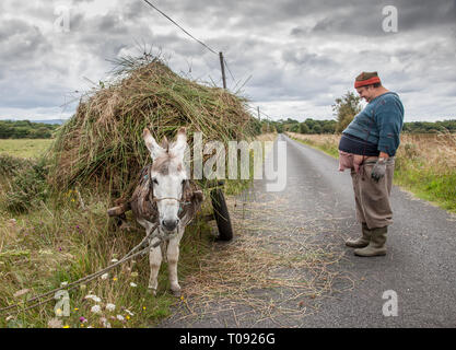 Enniscrone, Sligo, Irland. August 13, 2009. Ein Bauer bringt home Schilf mit diesem Esel und Warenkorb in Enniscrone, Co Sligo Irland Stockfoto