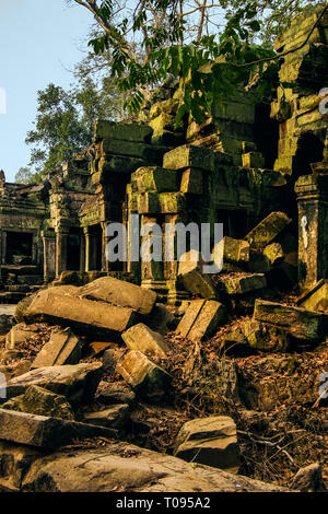Patina von Flechten auf eine zerstörte Wand im Atmosphärischen, viel besuchten 12 thC Khmer Tempel Ta Prohm, Angkor, Siem Reap, Kambodscha. Stockfoto