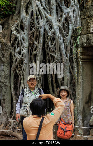 Guide fotografieren Asiatischen touristische Besucher an Baumwurzeln in der 12 thC UNESCO Khmer Tempelanlage Ta Prohm; Angkor, Siem Reap, Kambodscha. Stockfoto