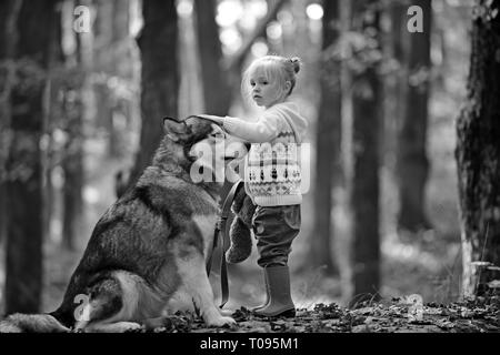 Kind Spiel mit Husky und Teddybär auf frische Luft im Freien. Red Riding Hood mit Wolf im Märchen Wald. Aktivitäten und aktive Erholung. Kindheit, Spiel Stockfoto