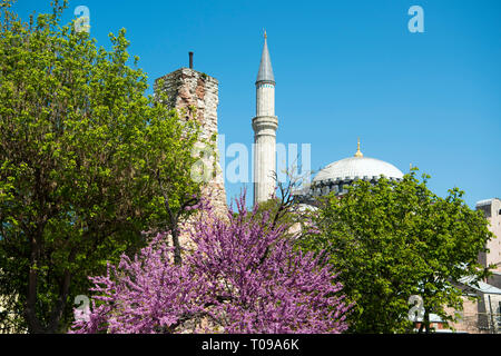 Türkei, Istanbul, Sultanahmet, Park über der yerebatan-zisterne am Anfang der Divan Yolu, Wasserturm über der Zisterne und Minarett der Hagia Sophia Stockfoto