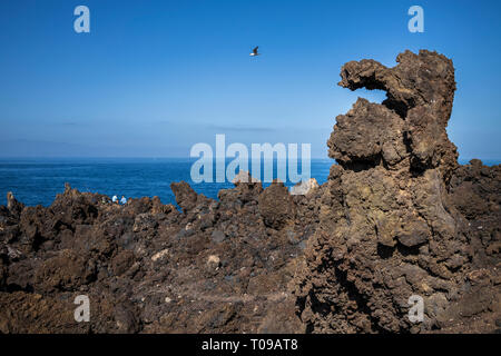 Vulkanische Felsformationen entlang der Westküste am Playa San Juan auf Teneriffa, Kanarische Inseln, Spanien Stockfoto