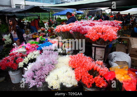 Plaza de Mercado de Paloquemao, Blumenmarkt im Norden von Bogota, Kolumbien Stockfoto