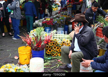 Plaza de Mercado de Paloquemao, Blumenmarkt im Norden von Bogota, Kolumbien Stockfoto