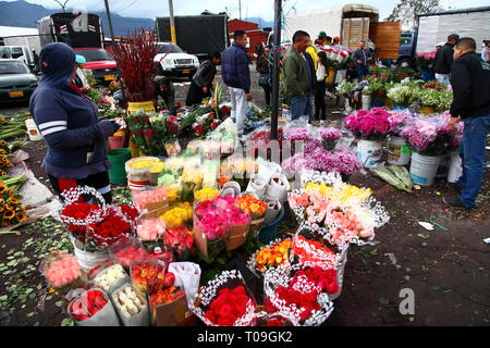 Plaza de Mercado de Paloquemao, Blumenmarkt im Norden von Bogota, Kolumbien Stockfoto