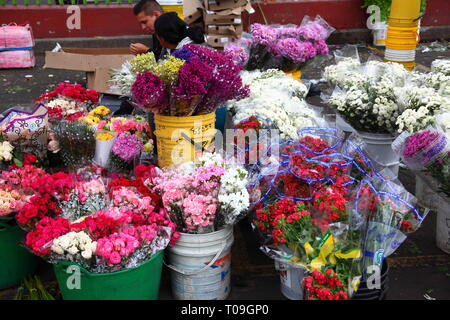 Plaza de Mercado de Paloquemao, Blumenmarkt im Norden von Bogota, Kolumbien Stockfoto