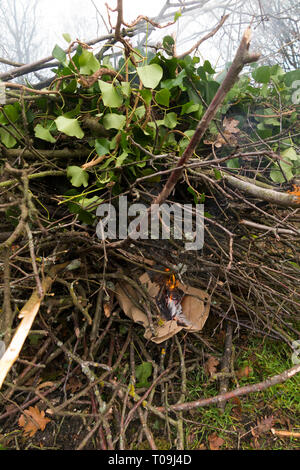 Einstellung Feuer mit Papier und Karton eine inländische Bonfire Blätter zu brennen, Licht, Äste und Zweige, beleuchtet in einem inländischen Garten in der Landschaft. (104) Stockfoto