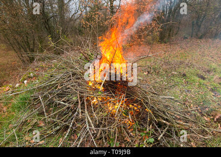 Garten Feuer mit heftigen Flammen mit Rauch Rauch steigt aus einem Lagerfeuer brennen Baum, Blättern und Zweigen, in einer häuslichen Garten Leuchten in der Landschaft Stockfoto