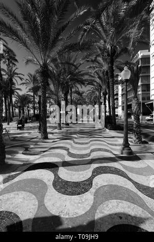 Maritme Esplanade und Gärten, Hafen von Alicante, die Hauptstadt der Region Valencia, Spanien, Europa Stockfoto