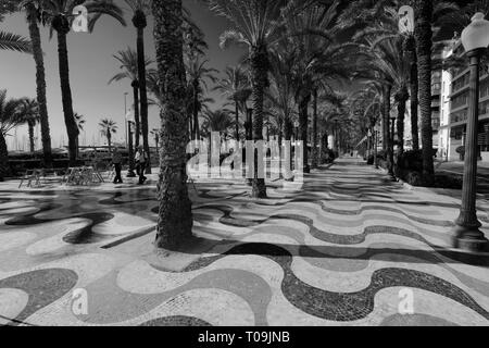 Maritme Esplanade und Gärten, Hafen von Alicante, die Hauptstadt der Region Valencia, Spanien, Europa Stockfoto