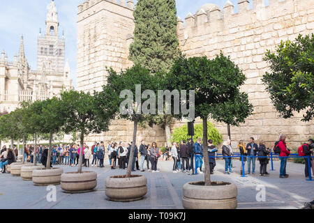 Touristen Queuing der Real Alcazar in Sevilla, Spanien zu besuchen Stockfoto