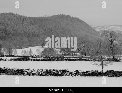 Schäferei in der Nähe von Betws-y-Coed mit Mynydd Garthmyn im Hintergrund, Conwy, North Wales, UK. Stockfoto