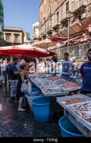 Wochentag Fischmarkt La Pescheria in Piazza Alonzo di Benedetto, Catania, Sizilien, Italien Stockfoto