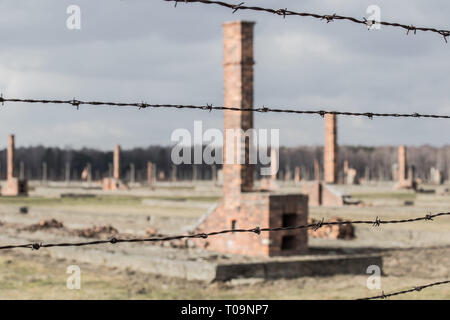 Auschwitz II Birkenau, Ruinen von Kasernen in Birkenau. Öfen und Kamine sind alle, die Reste der alten hölzernen kz-Kaserne am 12. März Stockfoto