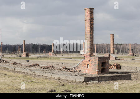 Auschwitz II Birkenau, Ruinen von Kasernen in Birkenau. Öfen und Kamine sind alle, die Reste der alten hölzernen kz-Kaserne am 12. März Stockfoto