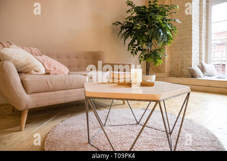 Sofa, Couchtisch und Pflanze im Wohnzimmer im Stil skandinavisch. Couch und Topfpflanze in ein gemütliches Wohnzimmer eingerichtet. Studio Apartment in Stockfoto