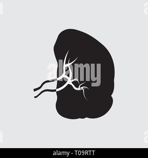 Milz Symbol. Menschliche innere Organe. medizinische Vector Abbildung 10 eps Stock Vektor