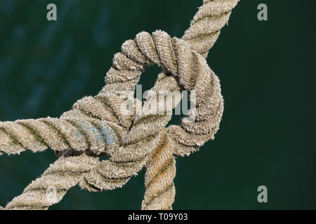 Einer verknoteten Leine sichern ein Boot auf seinen Liegeplatz, Hafen von Brixham, Devon, Großbritannien. Stockfoto