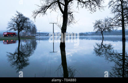 Riedlingen Bechingen, Deutschland. 19 Mär, 2019. Bäume sind in einem überschwemmten Wiese kurz vor Sonnenaufgang reflektiert. Foto: Thomas Warnack/dpa/Alamy leben Nachrichten Stockfoto