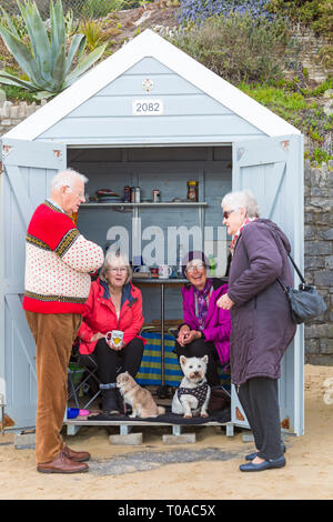 Bournemouth, Dorset, Großbritannien. März 2019. Wetter in Großbritannien: bewölkt und bedeckt mit etwas Nieselregen und einem kurzen Sonneneinfall an den Stränden von Bournemouth, während Besucher sich an die Küste wagen. Bonnie the West Highland Terrier und Mittie the Chihuahua genießen ihren Tag in ihrer Strandhütte am Meer. Quelle: Carolyn Jenkins/Alamy Live News Stockfoto