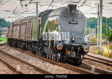 Dampf die Südafrikanische Union60009 Zug ist ein Lner Klasse A4 steam locomotive in Doncaster 1937 gebaut. Ursprünglich genannt Osprey, Es ist eines von sechs Stockfoto