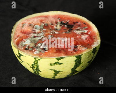 Molding Wassermelone Stockfoto