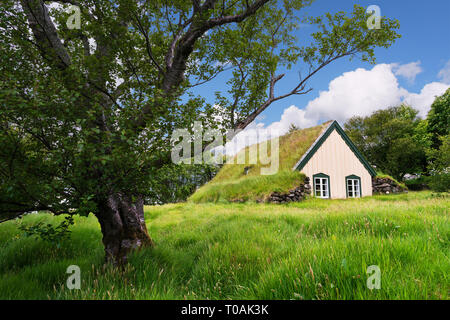 Kirche in Oraefi hofskirkja Rasen im Südosten von Island Stockfoto