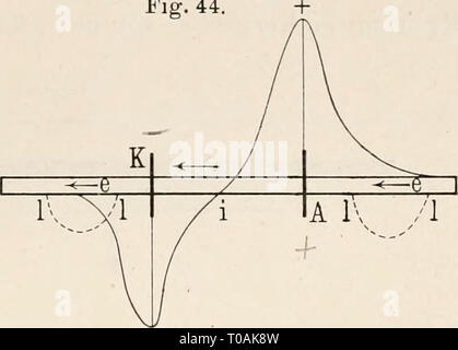 Elektrobiologie, die Lehre von den Stockfoto