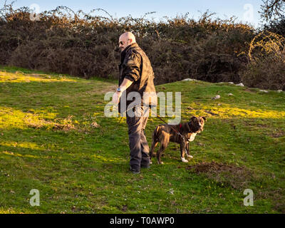 Eine starke erwachsenen Mann in Uniform mit einem jungen Hund der Rasse American Staffordshire in der Landschaft im Frühling gekleidet Stockfoto