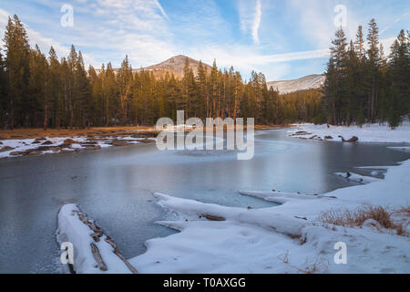 Einen gefrorenen Teich in der Mitte der Winter während einer Dürre Jahreszeit im Jahr 2013 in Yosemite National Park, Kalifornien, USA. Stockfoto