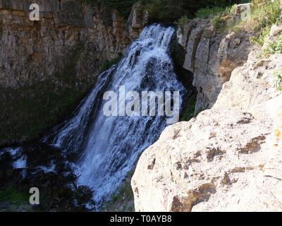 Rustikale fällt entlang der großartigen Loop Road im Yellowstone National Park, Wyoming. Stockfoto