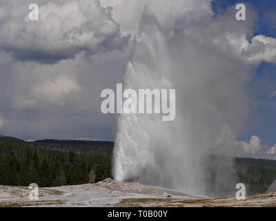 Atemberaubende Aussicht auf den Old Faithful Geysir, der im Yellowstone National Park in Wyoming ausbricht. Alte Gläubige brechen alle 90 Minuten aus. Stockfoto