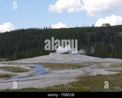 Weitaufnahme des Old Faithful Geysir im Yellowstone National Park in Wyoming. Stockfoto