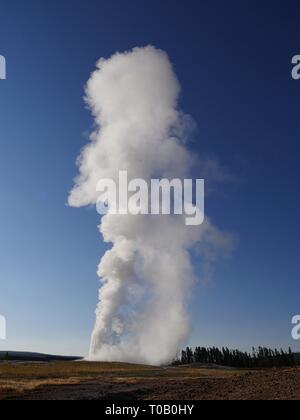 Erstaunliche Formen von Dampf und Wasser schießen hoch in den Himmel, als Old Faithful Geysir ausbricht im Yellowstone National Park in Wyoming. Stockfoto