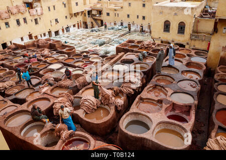 Arbeiter produzieren und Färben von Leder in traditioneller Weise an der Chouara Gerberei. Fez, Marokko Stockfoto