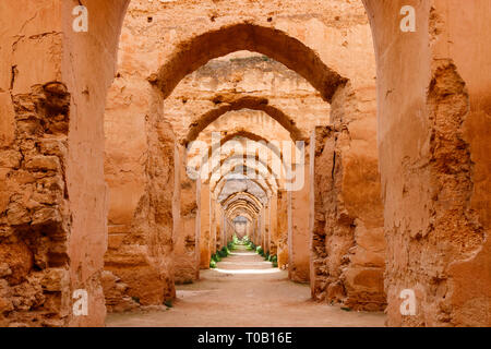 Bögen und die Wände von Heri es-Souani stabil und Getreidespeicher, Auftraggeber der Sultan Mulai Ismail, Meknes, Marokko. Stockfoto