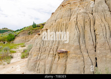 Nahaufnahme von einer Ausbildung in Theodore Roosevelt National Park Stockfoto