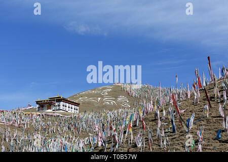 Hunderte Gebetsfahnen über den Ser Gergyo (Ani Gompa) Nonnenkloster, Tagong Grasland, Sichuan, China Stockfoto