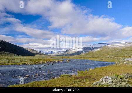 Norwegische fjaeldmark im Jotunheimen Nationalpark Stockfoto