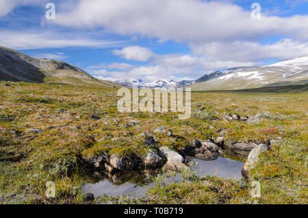 Norwegische fjaeldmark im Jotunheimen Nationalpark Stockfoto