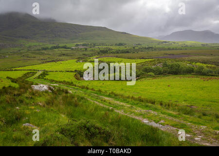 Auf der Ballaghasheen Pass Road, Co Kerry, Irland Stockfoto