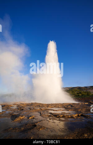 Ausbruch der Geysir Geysir. Tal Haukadalur, Island. Golden Ring touristische Attraktion Stockfoto