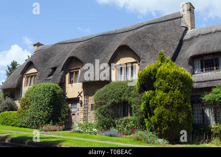 Alte Reetdach englisches Cottage in ländlichen Landschaft von Cotswold mit getrimmt Hedge, bunten Blumen im Vorgarten, an einem sonnigen Sommertag. Stockfoto