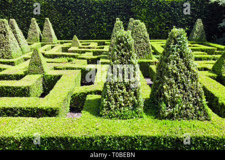 Topiary Garten mit Sträuchern in Formen im Labyrinth getrimmt. Stockfoto