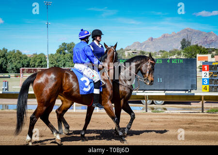 Rennen Pferd und Jockey mit blauer Seide sind durch eine weibliche outrider auf der Pferderennbahn in Rillito Park Race Track in Tucson, AZ begleitet Stockfoto