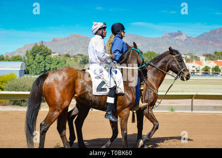 Rennen Pferd und Jockey mit weißer Seide sind durch eine weibliche outrider auf der Pferderennbahn in Rillito Park Race Track in Tucson, AZ begleitet Stockfoto