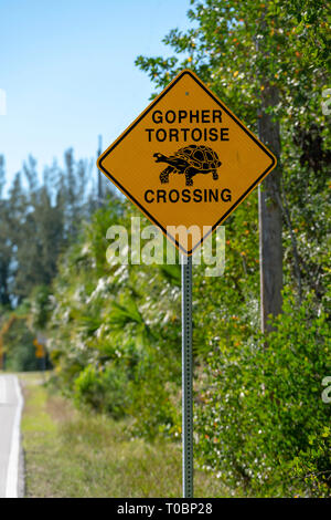 Gelbes Warnschild für Gopher tortoise auf der Straße zu beobachten Stockfoto